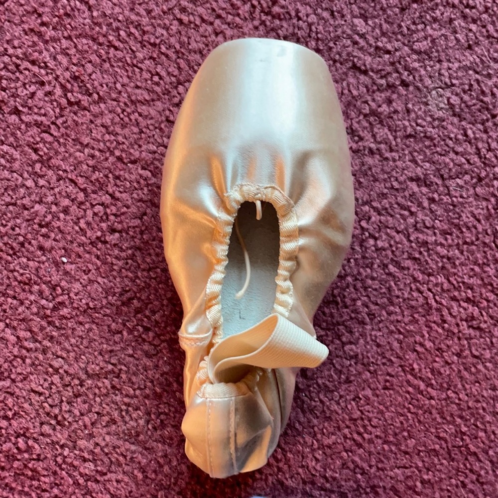 Bloch Pointe Shoes